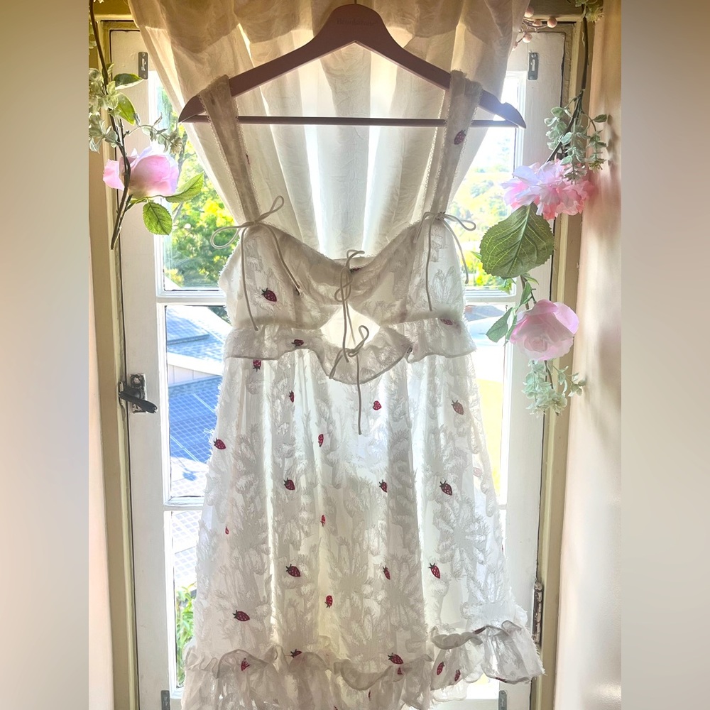 COPY - Love and Lemons strawberry dress 🍓